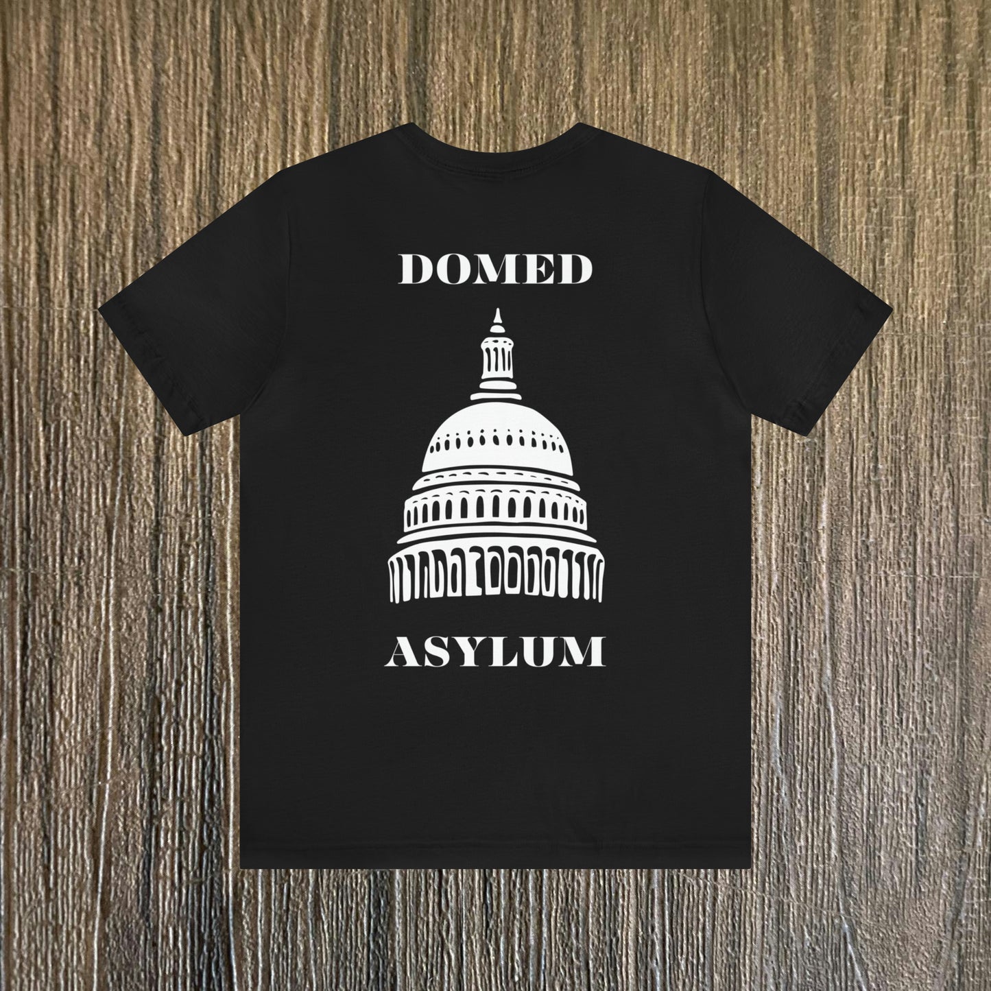 DOMED ASYLUM